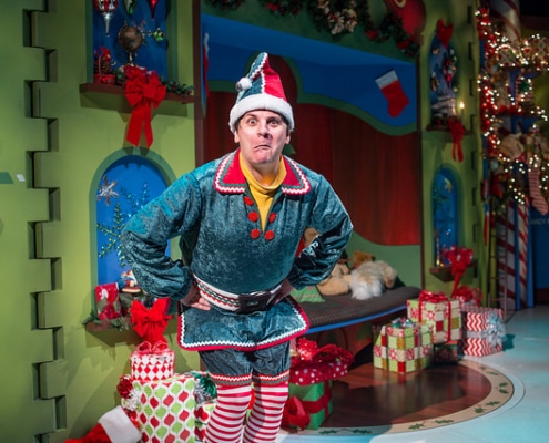 Michael Bouchard in "The SantaLand Diaries." Photo Credit: AdamsVisCom.