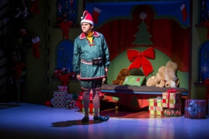 Michael Bouchard in "The SantaLand Diaries." Photo Credit: AdamsVisCom.