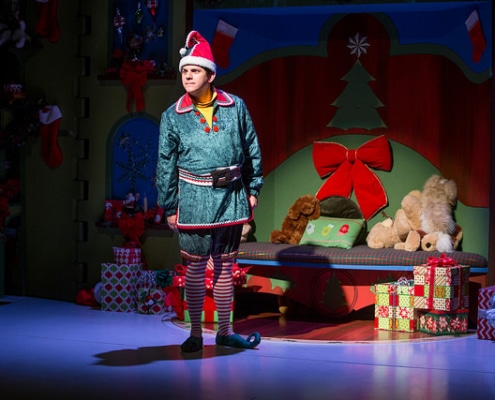 Michael Bouchard in "The SantaLand Diaries." Photo Credit: AdamsVisCom.