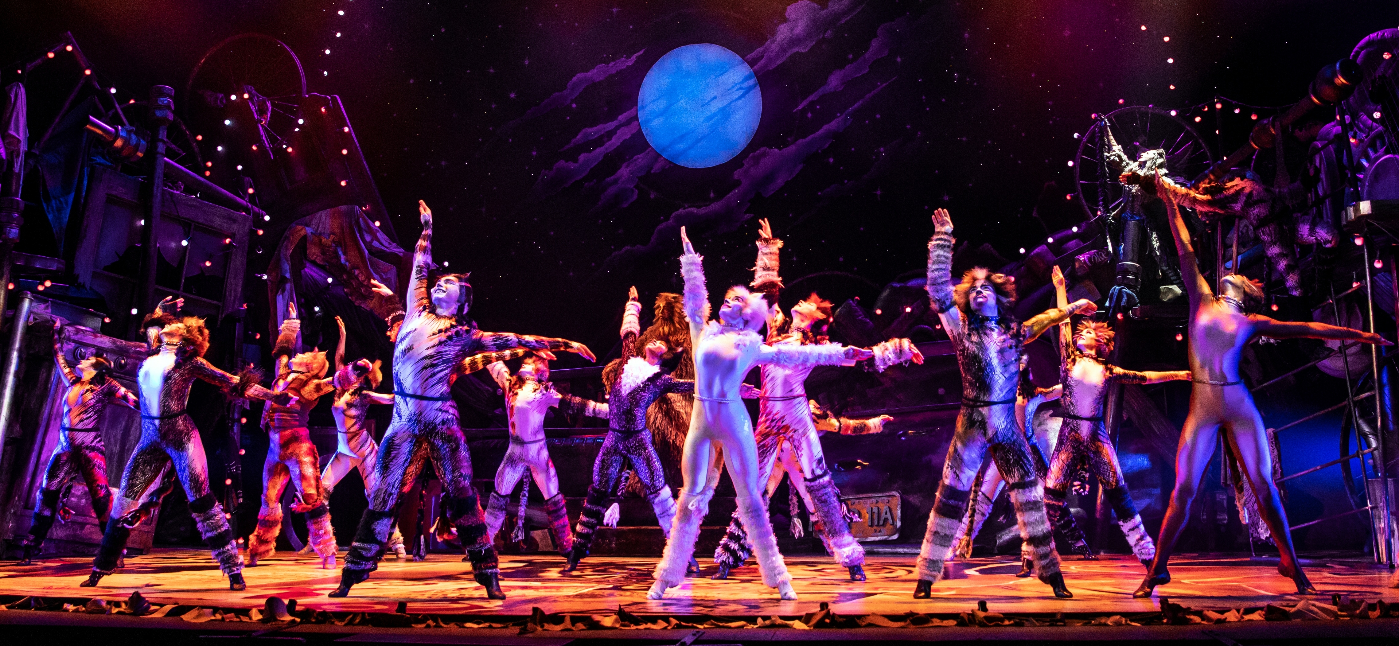 The North American Tour Company of CATS. Photo by Matthew Murphy. 2019 (2)