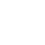 Twitter Social Icon