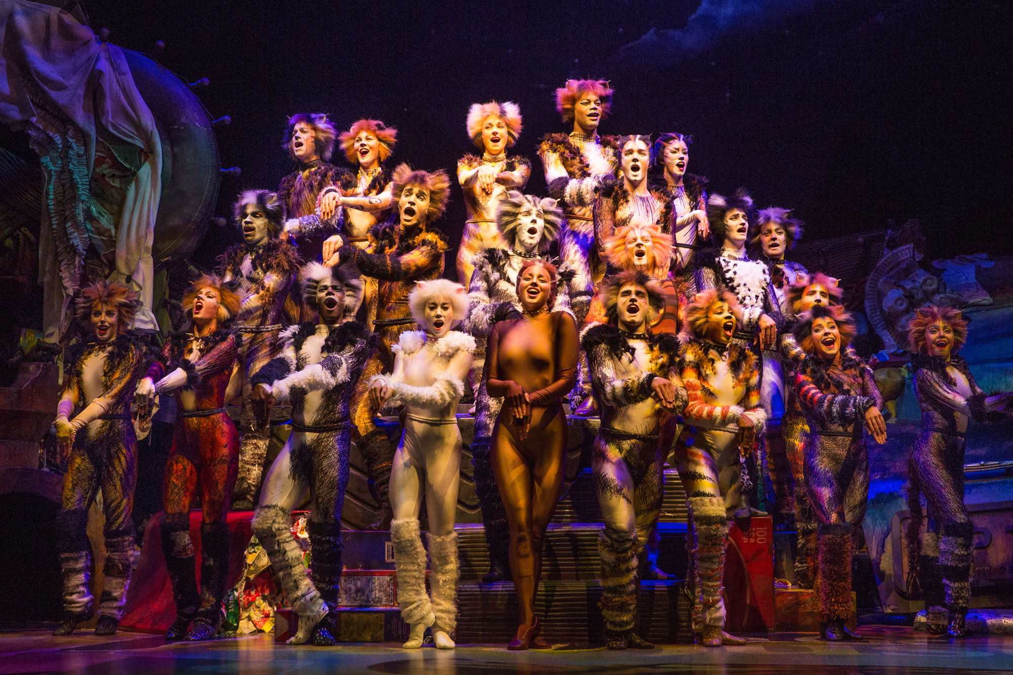 The-Company-of-CATS-on-Broadway---Photo-by-Matthew-Murphy