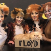 Longmont's "Floyd The Lion" made some purrfectly lovely new friends among the cast of CATS. With Cats.