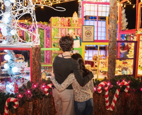 A child and an older companion face away from the camera with their arms around each other. They are looking at holiday display containing gingerbread houses, and other creations made of candy.