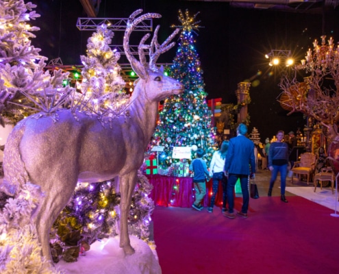 Camp Christmas 2019. Photo by Adams VisCom. 2