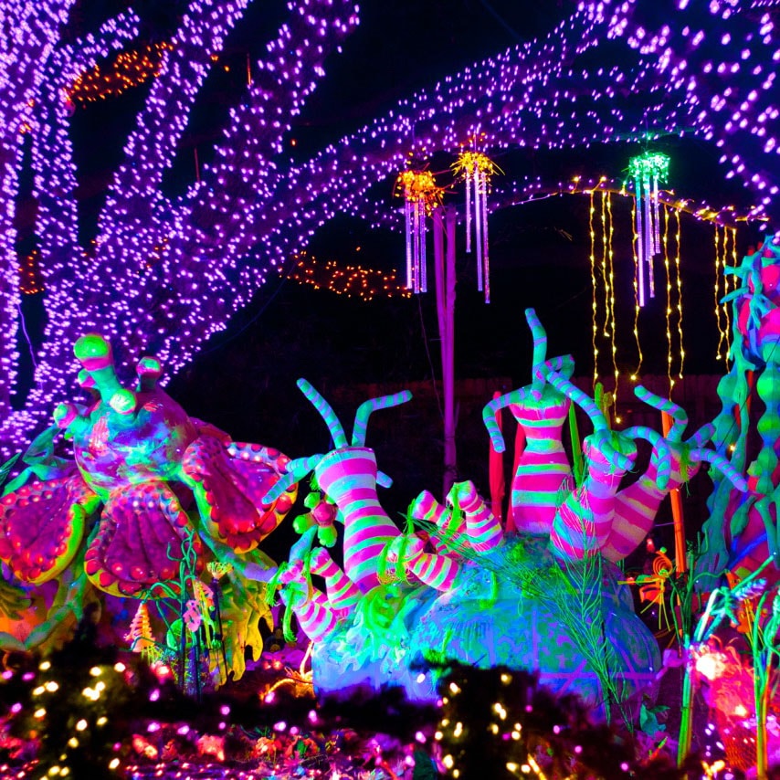 A neon lights display at Camp Christmas