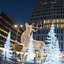 A glowing reindeer sculpture surrounded by white trees