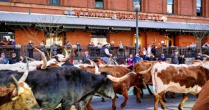 Wynkoop Brewing Company