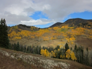 Mountains covered in trees and wild grasses are shown from the Arapaho National Forest