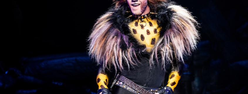 an actor dressed as a black spotted cat in the Broadway National Tour of Cats