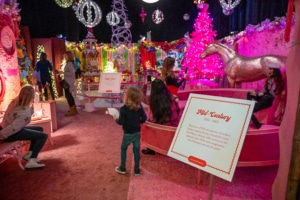 A child enters a pink themed room at Camp Christmas