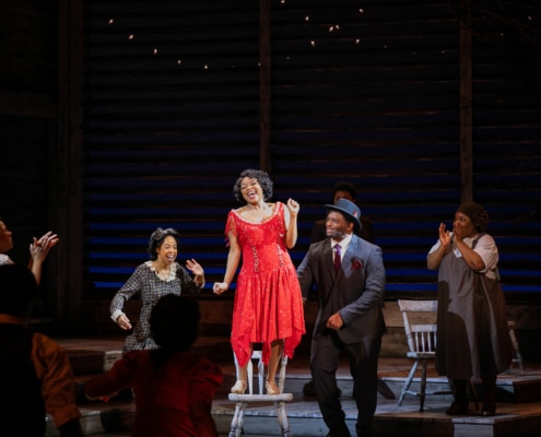 A woman sings while standing on a chair. She's wearing a glittering red dress. People clap and dance around her.