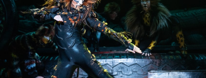 Aiden Pressel as Macavity by Matthew Murphy, Murphymade