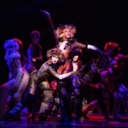 A group of dancers dressed as cats dance onstage in CATS