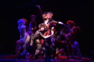 A group of dancers dressed as cats dance onstage in CATS