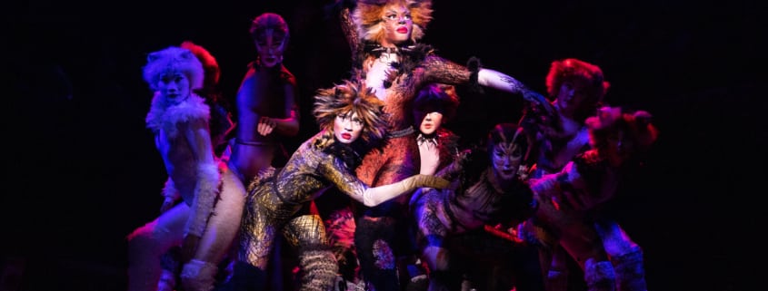 A group of dancers dressed as cats dance onstage in CATS