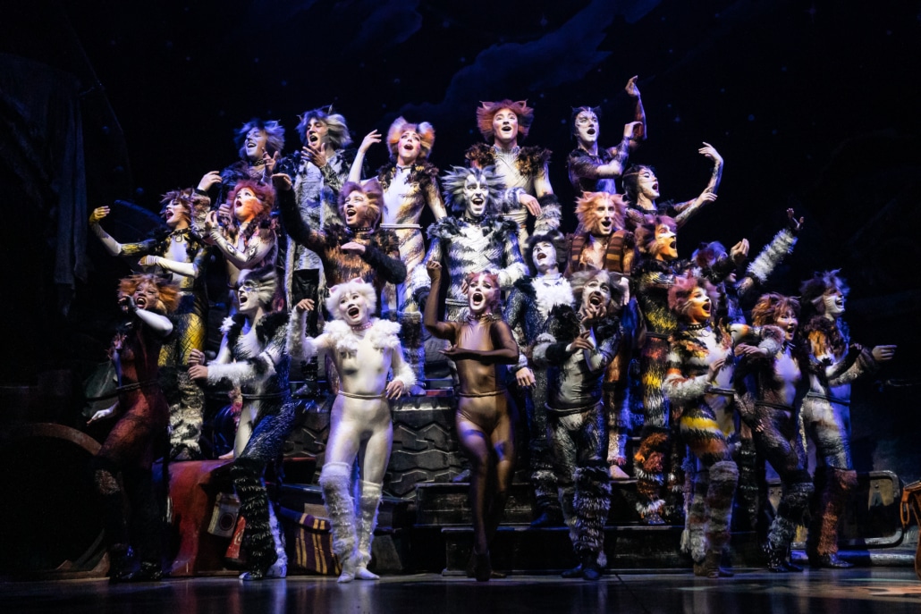 Broadway Montage  Cats the Musical 