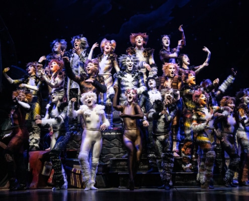 The cast of cats all sing and dance together on stage