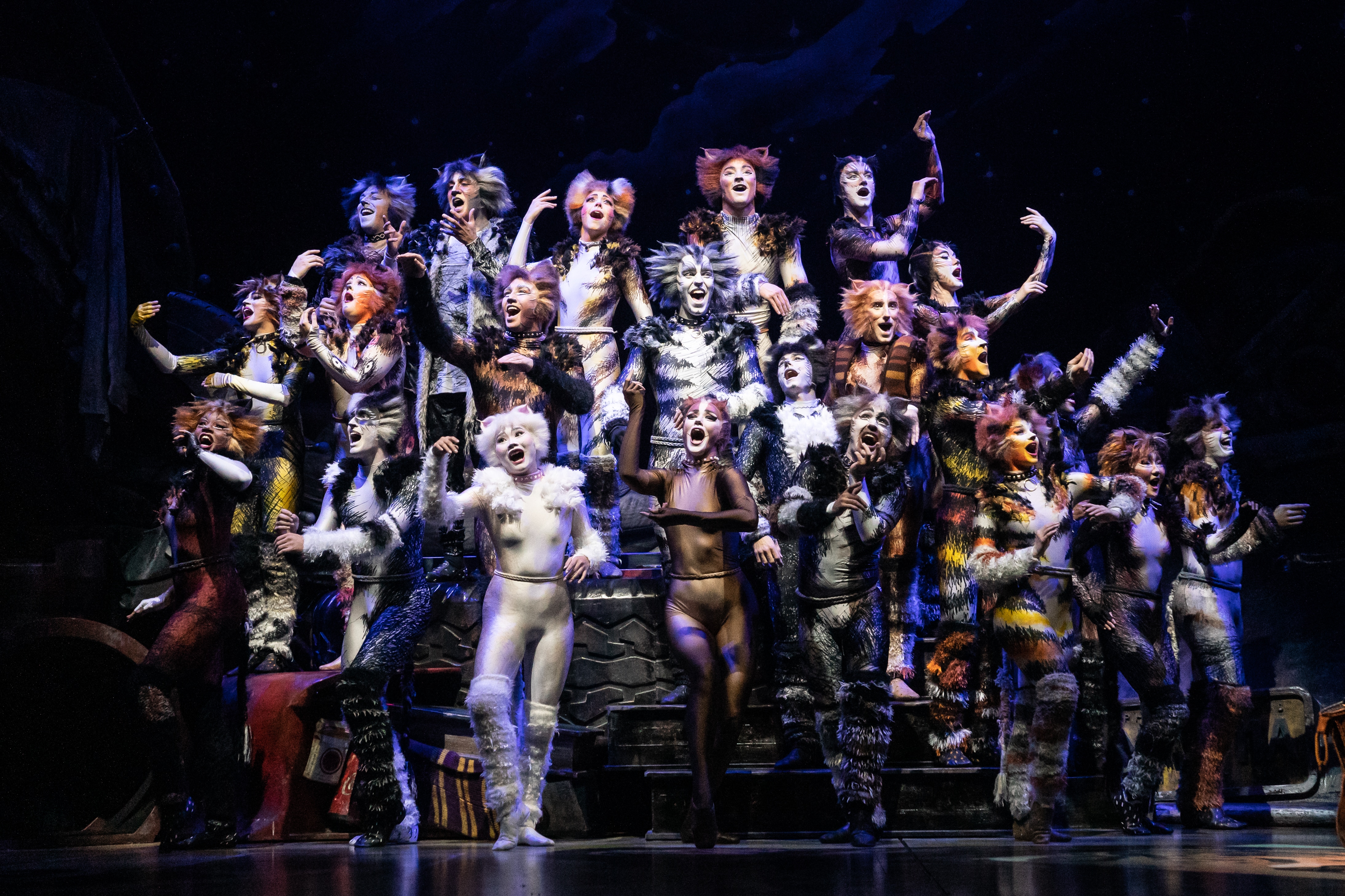 The cast of cats all sing and dance together on stage