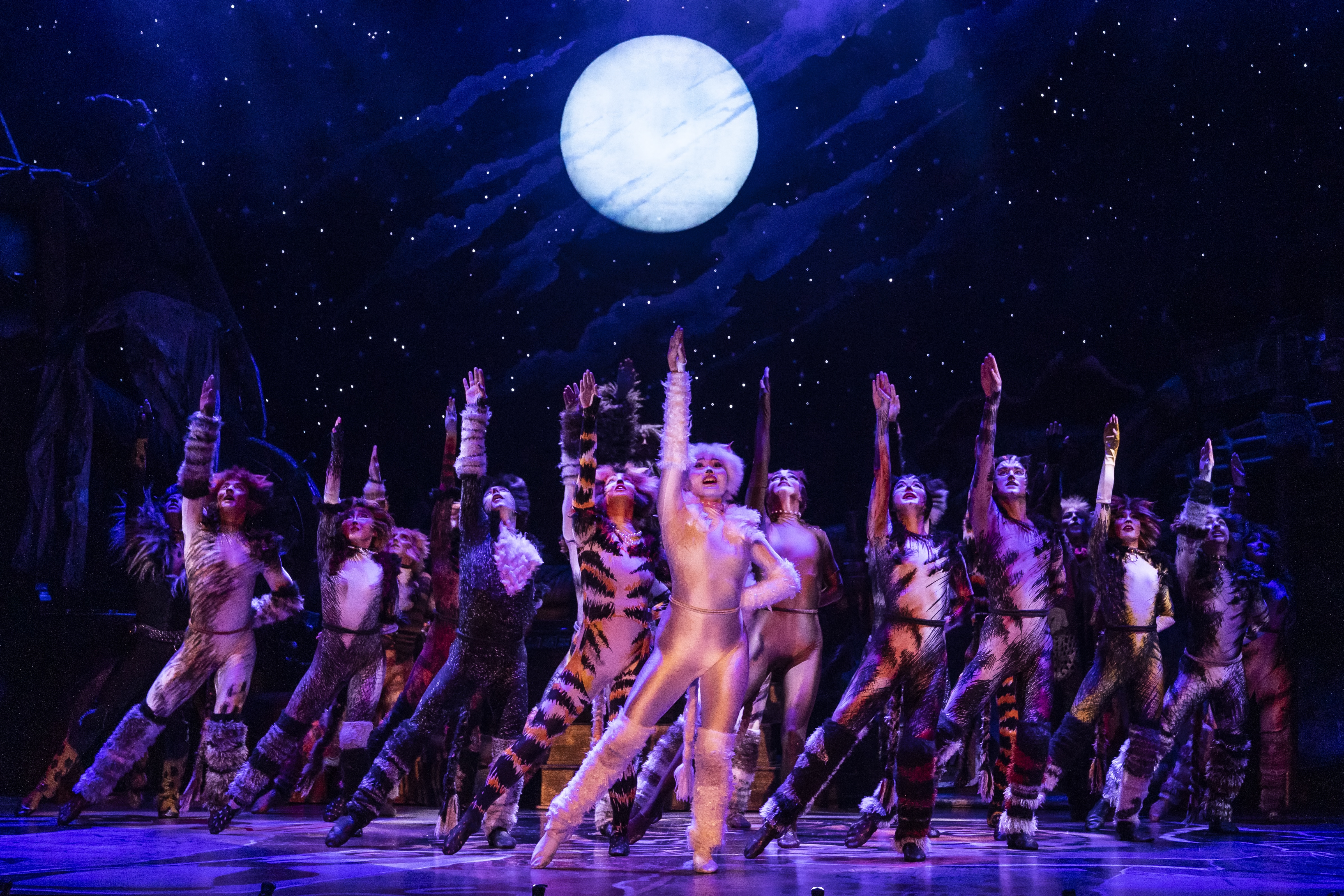 The cast of cats poses in unison on stage and all singing together with one "paw" in the air