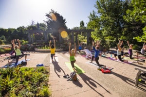 A group of people do yoga on a pavillion