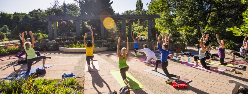 A group of people do yoga on a pavillion