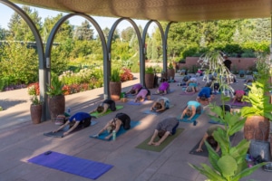 A group of people do yoga in a pavillion