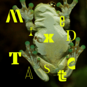 The underside of a frog that reads Mixed Taste