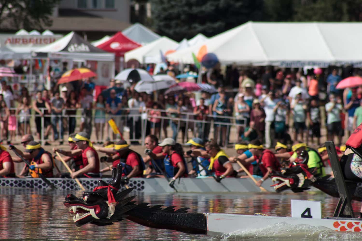 Colorado Dragon Boat Festival Connecting the community through culture