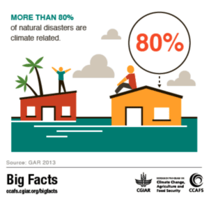 Infographic: More than 80% of natural disasters are climate related.