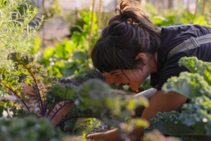 A woman leans over a garden while she works