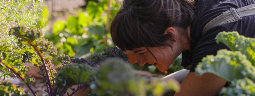 A woman leans over a garden while she works