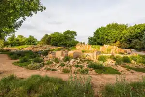 A garden filled with steppe-climate plants