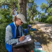 Denver Botanic Gardens ecologist records data during an ecological survey of an urban greenway in Denver