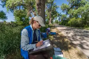 Denver Botanic Gardens ecologist records data during an ecological survey of an urban greenway in Denver