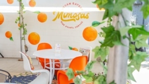 A bright and airy restaurant space with orange chairs