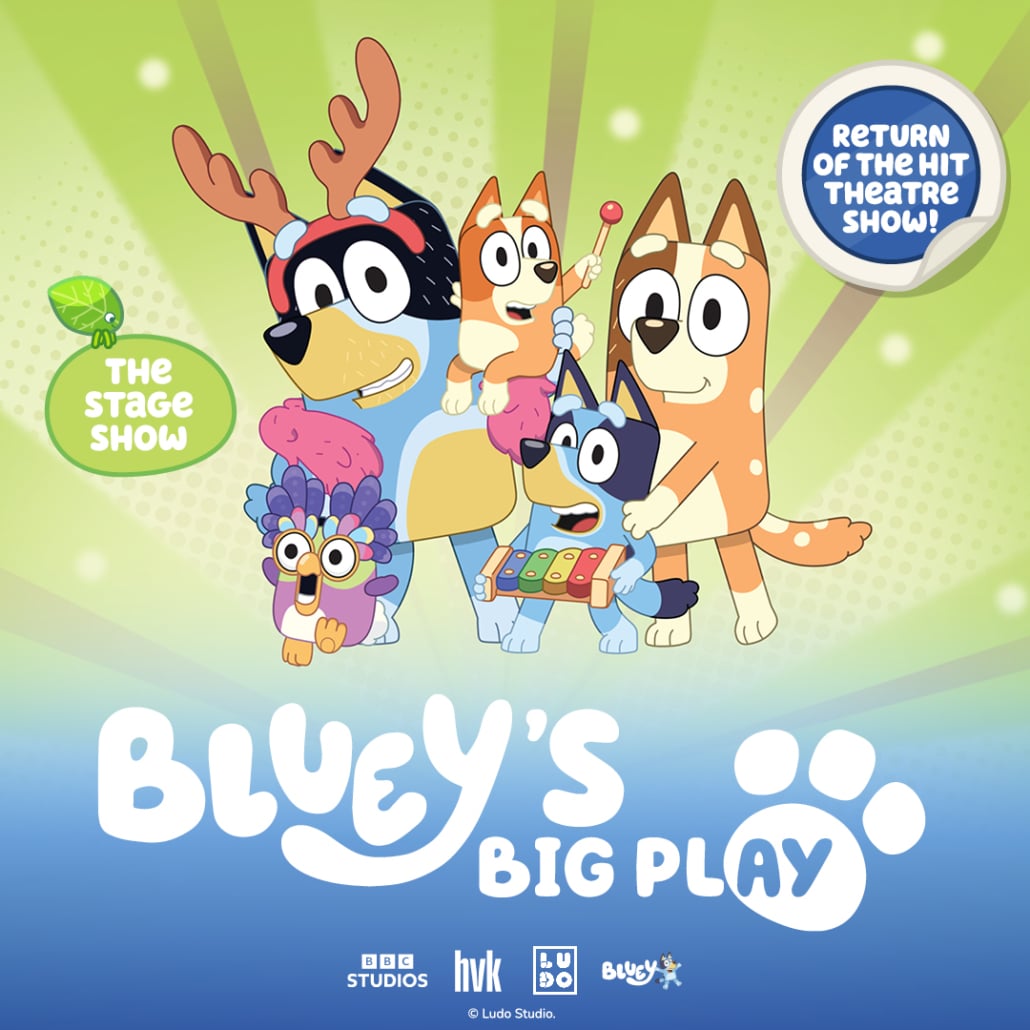 Bluey's Big Play