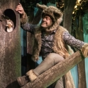 The wolf looks at a squirrel peeking out from a tree