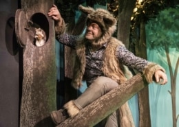 The wolf looks at a squirrel peeking out from a tree
