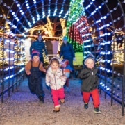 A group of children run through a lighted archway at Camp Christmas