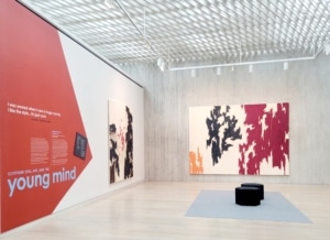 An exhibit hall inside the Clyfford Still Museum