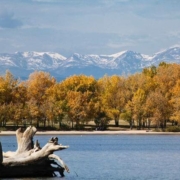 A view over the water at Cherry Creek State Park