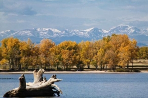 A view over the water at Cherry Creek State Park