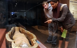 A couple views an Egyptian mummy encased in glass at the Denver Museum of Nature and Science