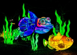 A glowing fish sculpture with seaweed