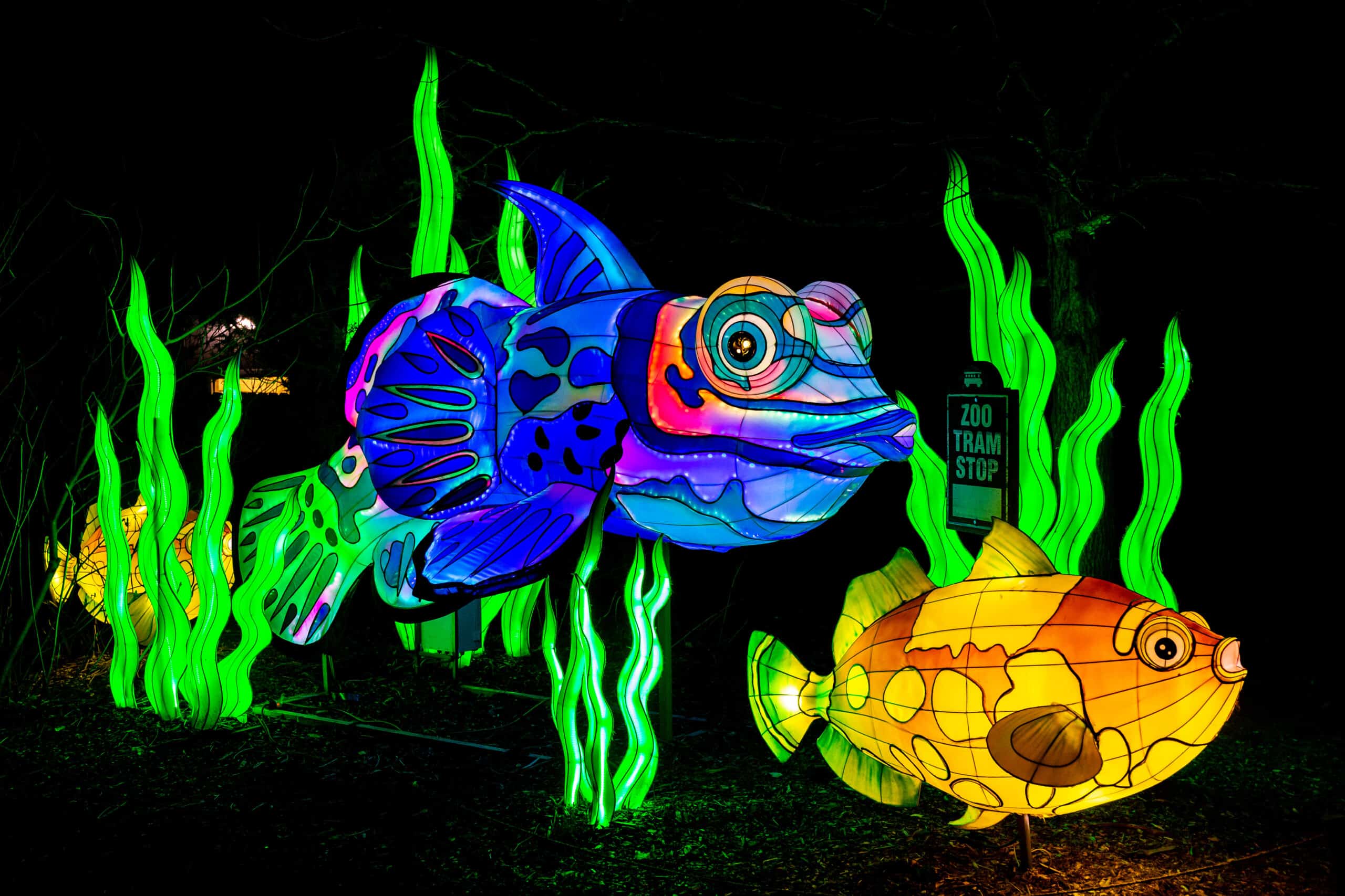 History Embraces Tradition at Four Mile Historic Park - Denver