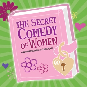 A graphic with a bright pink book “The Secret Comedy of Women” by Barbara Gehring and Linda Klein. The book is decorated with simple flower doodles, and a stylized gold heart-shaped padlock on the right side. The background is green with radiating lines and scattered decorative hearts and flowers.