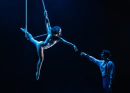 Ariel performers on a trapeze illuminated by blue light on a black background