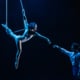 Ariel performers on a trapeze illuminated by blue light on a black background