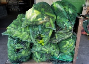 Several large green mesh bags filled with green chili peppers stacked on a metal cart in a storage area.